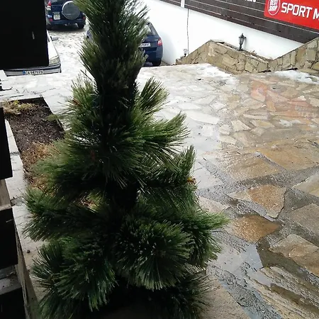 Pirin Palace White Διαμέρισμα