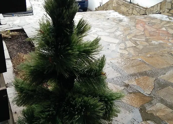 Pirin Palace White Lejlighed